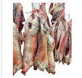 Viande d’agneau entier 18kg